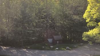 Weather camera view of John Dorr Nature Lab-Horace Mann School.