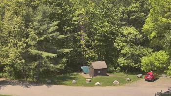 Weather camera view of John Dorr Nature Lab-Horace Mann School.