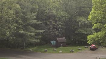 Weather camera view of John Dorr Nature Lab-Horace Mann School.