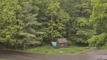Weather camera view of John Dorr Nature Lab-Horace Mann School.