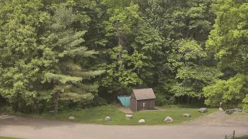 Weather camera view of John Dorr Nature Lab-Horace Mann School.