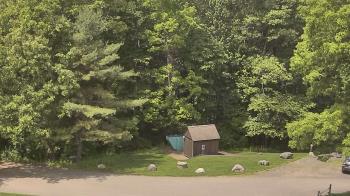 Weather camera view of John Dorr Nature Lab-Horace Mann School.