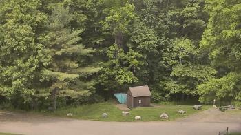 Weather camera view of John Dorr Nature Lab-Horace Mann School.