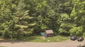 Weather camera view of John Dorr Nature Lab-Horace Mann School.