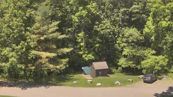Weather camera view of John Dorr Nature Lab-Horace Mann School.