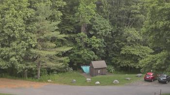 Weather camera view of John Dorr Nature Lab-Horace Mann School.