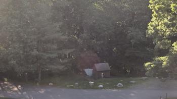 Weather camera view of John Dorr Nature Lab-Horace Mann School.