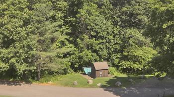 Weather camera view of John Dorr Nature Lab-Horace Mann School.