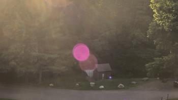Weather camera view of John Dorr Nature Lab-Horace Mann School.