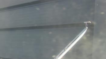 Weather camera view of Pirates Bay Water Park.