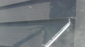 Weather camera view of Pirates Bay Water Park.