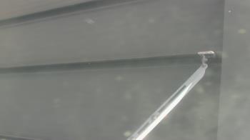 Weather camera view of Pirates Bay Water Park.