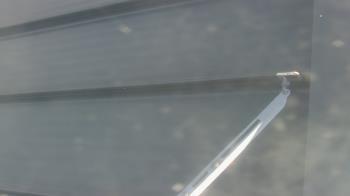 Weather camera view of Pirates Bay Water Park.