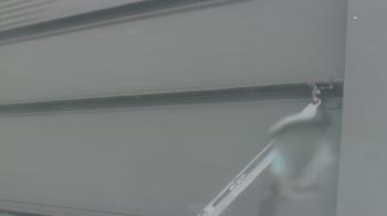 Weather camera view of Pirates Bay Water Park.