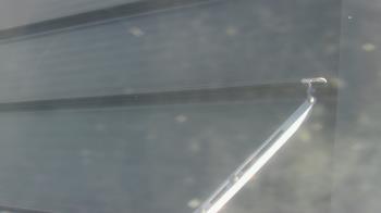 Weather camera view of Pirates Bay Water Park.