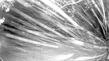 Weather camera view of Country Club of Harrisburg.