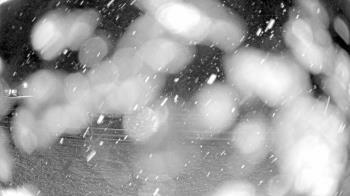 Weather camera view of Bensville Park.