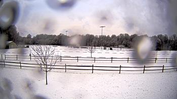 Weather camera view of Bensville Park.