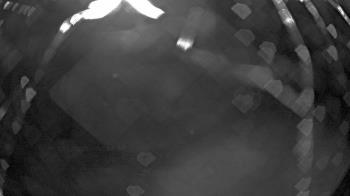 Weather camera view of Gilbert Run Park.