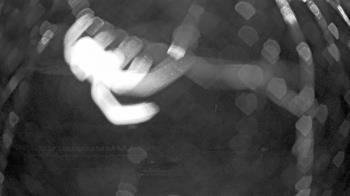 Weather camera view of Gilbert Run Park.