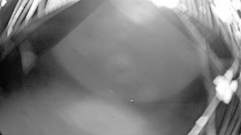 Weather camera view of Gilbert Run Park.