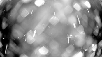 Weather camera view of Laurel Springs Regional Park.