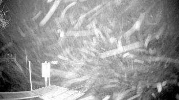 Weather camera view of Mallows Bay.