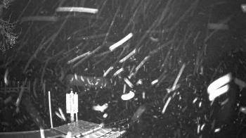 Weather camera view of Mallows Bay.