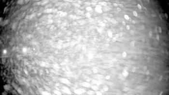 Weather camera view of Pisgah Park.