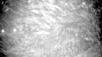 Weather camera view of Pisgah Park.