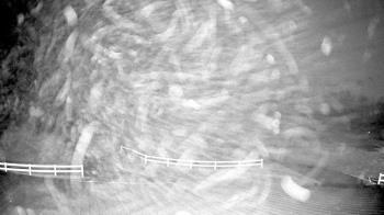 Weather camera view of White Plains Regional Park.