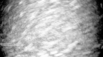 Weather camera view of White Plains Regional Park.