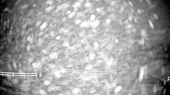 Weather camera view of White Plains Regional Park.