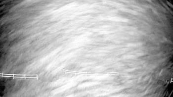 Weather camera view of White Plains Regional Park.