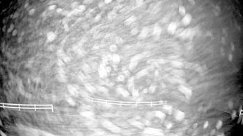 Weather camera view of White Plains Regional Park.