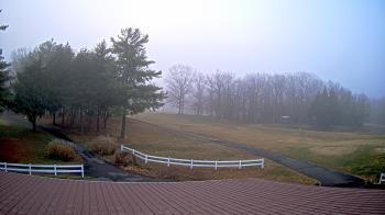 Weather camera view of White Plains Regional Park.