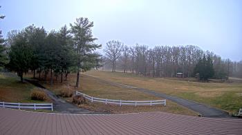 Weather camera view of White Plains Regional Park.