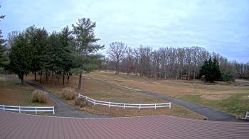 Weather camera view of White Plains Regional Park.