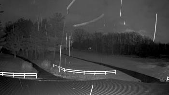 Weather camera view of White Plains Regional Park.
