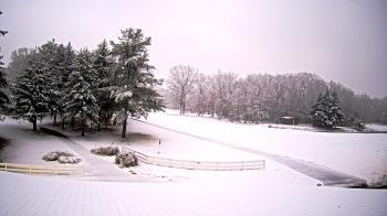 Weather camera view of White Plains Regional Park.