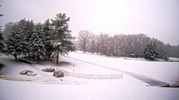 Weather camera view of White Plains Regional Park.