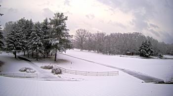 Weather camera view of White Plains Regional Park.