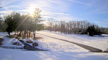 Weather camera view of White Plains Regional Park.