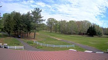 Weather camera view of White Plains Regional Park.
