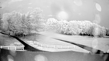 Weather camera view of White Plains Regional Park.