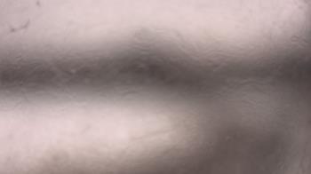 Weather camera view of P.V. Moore HS.