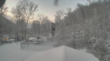 Weather camera view of Camp Guyasuta.