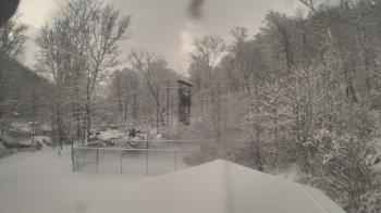 Weather camera view of Camp Guyasuta.