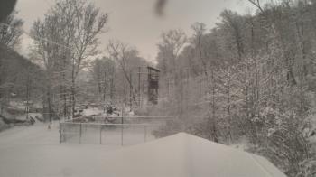 Weather camera view of Camp Guyasuta.