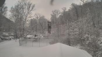 Weather camera view of Camp Guyasuta.